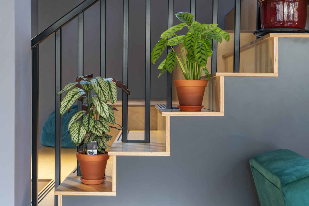 Plants lining the stairs in an office building in Shoreditch